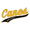 Evoshield Canes Arizona Sticker / Car Decal -Baseball Joy Boutique evoshield evoshield canes arizona sticker car deca