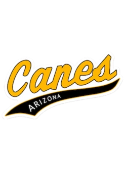 Evoshield Canes Arizona Sticker / Car Decal